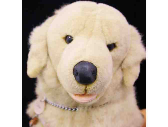 Chase the Golden Retriever Plush in Harness