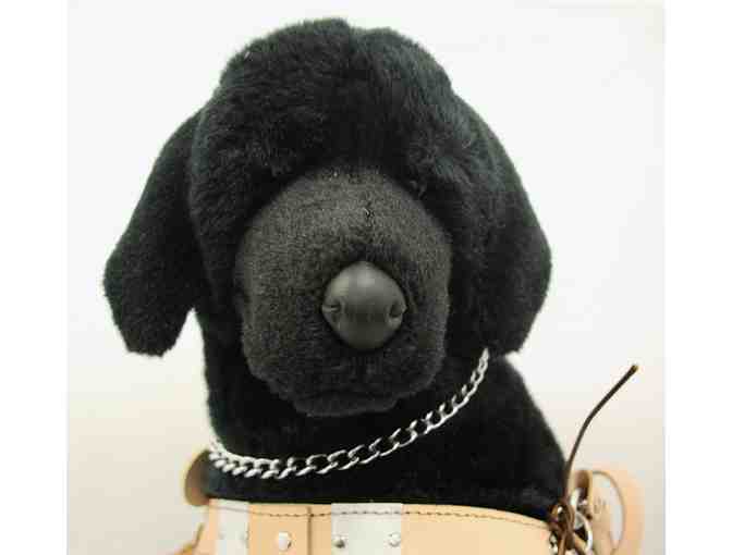 Spinner the Black Lab Plush in Harness
