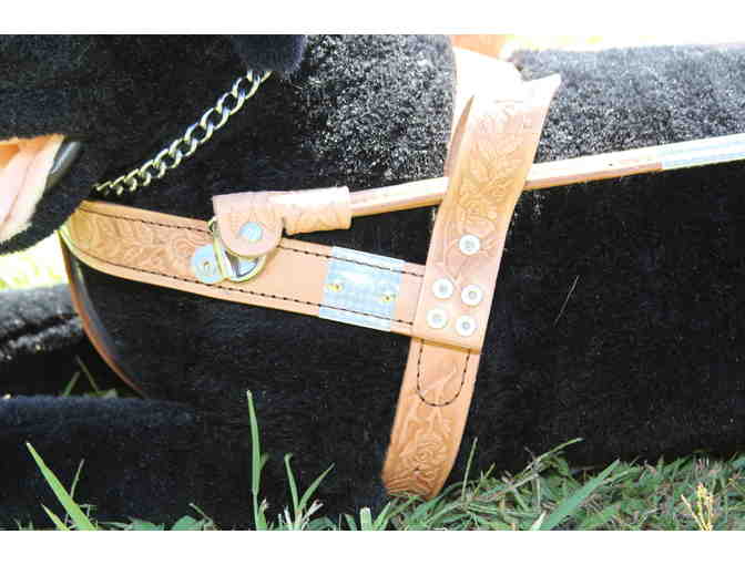 Custom-designed Authentic Seeing Eye Leather Harness - Photo 1
