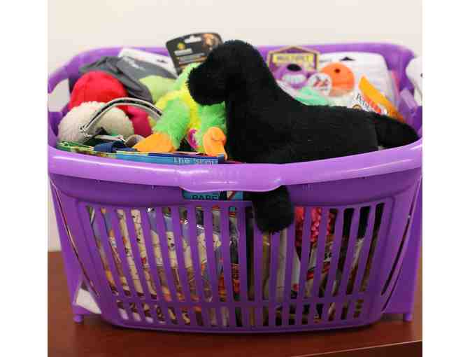 Play and Chew Gift Basket- 50 toys!