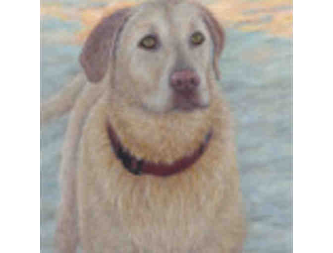 8'x10' Portrait of Your Dog in Oil by MiMi Stickley