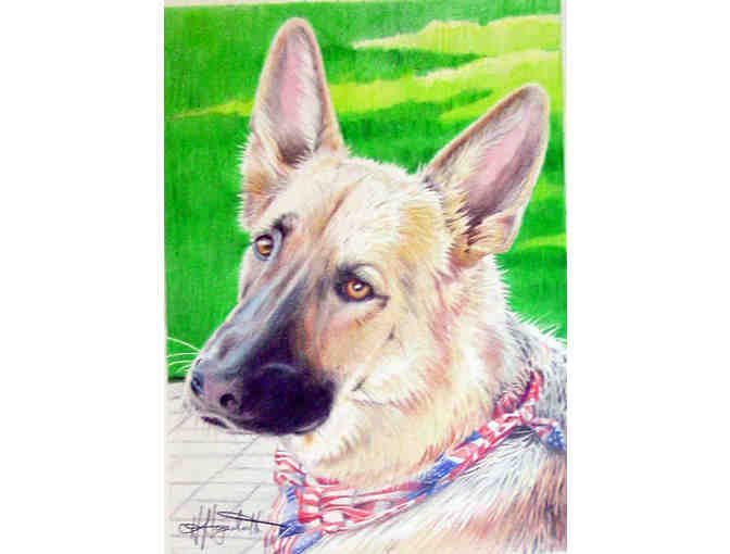 Custom Watercolor or Colored Pencil Pet Portrait by Artist Hava Hegenbarth
