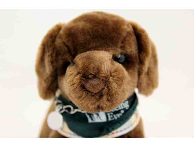Small Chocolate Lab Plush in Harness With 90th Anniversary Pin