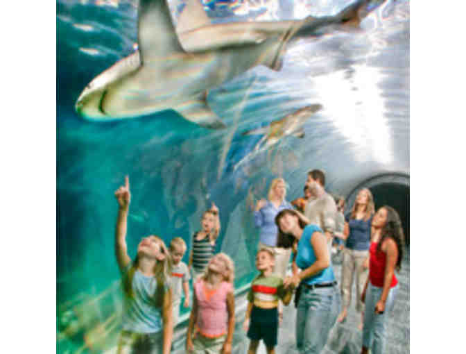 2 Passes to the Adventure Aquarium - Camden, NJ