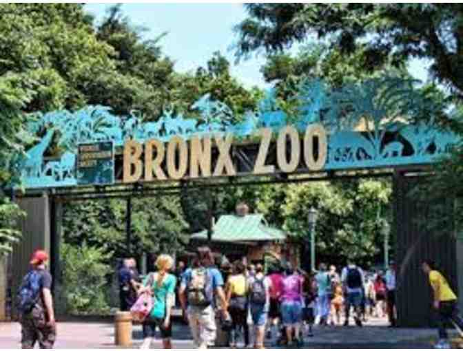 Get Up Close with This Exclusive Behind the Scenes Tour of the Bronx Zoo