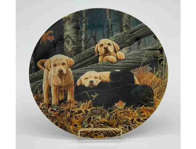 'Sweet Dreams' Dog Days Collectible Plate by Jerry Gadamus for the Bradford Exchange