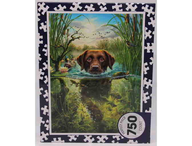 750 Pc Puzzle - chocolate Labrador swimming in a pond