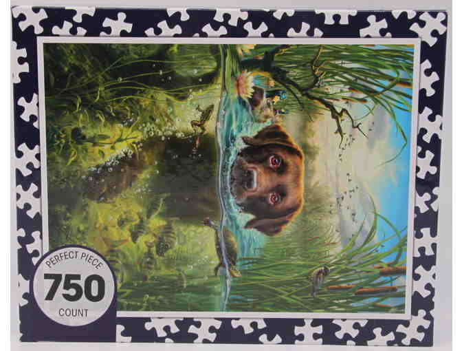750 Pc Puzzle - chocolate Labrador swimming in a pond
