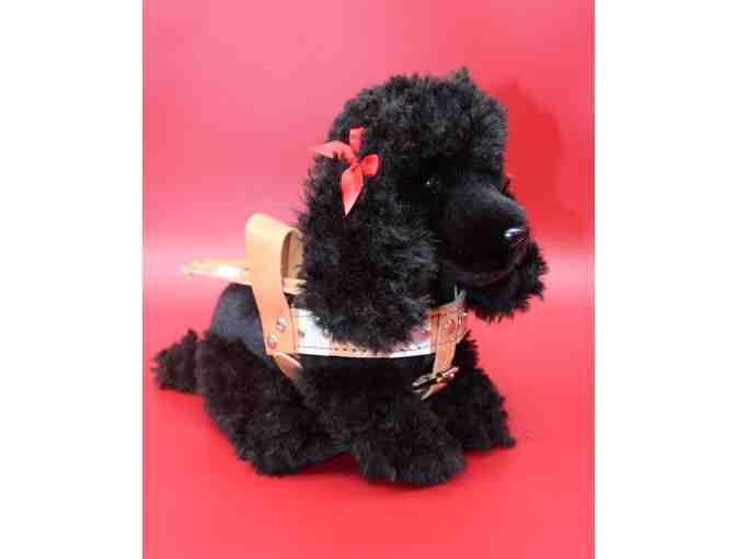 Medium Plush Black Poodle in Harness