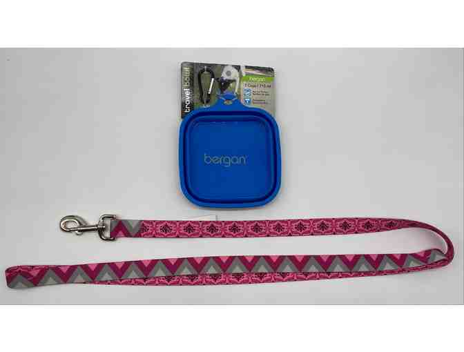 Pink Design 6' Leash and Blue 3 Cup Collapsible Travel Bowl