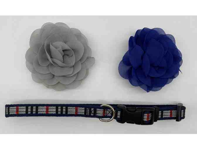 Large Dog collar 16-18' x 1/2' + two matching collar flowers