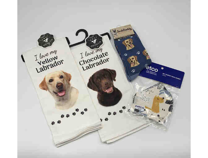 Lab Bag Filled With Dog Items