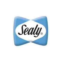 David Hertz, Sealy Mattress Company