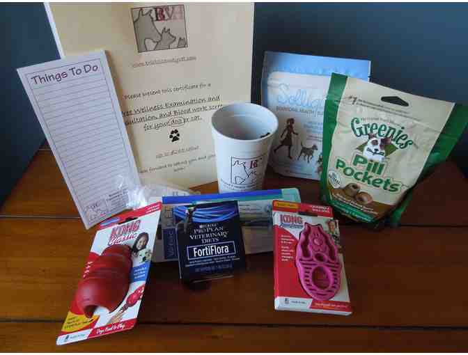 B.C.V.H. Canine Wellness Gift Bag - Gift Certificate for free exam, consult, blood work - Photo 1