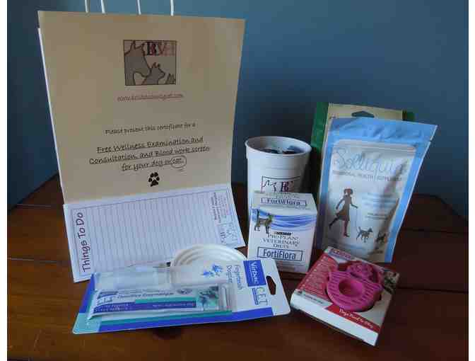 B.C.V.H. Feline Wellness Gift Bag - Gift Certificate for free exam, consult, blood work - Photo 1