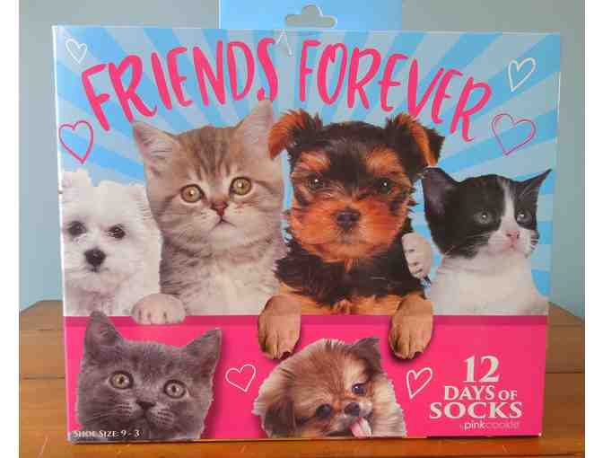 Friends Forever - 12 Days of socks (Puppies and Kitties) - Photo 1