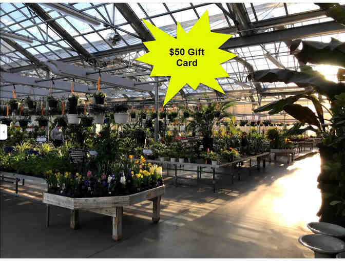 $50 Gift Card to Briggs Garden and Home, located in North Attleboro, MA - Photo 1