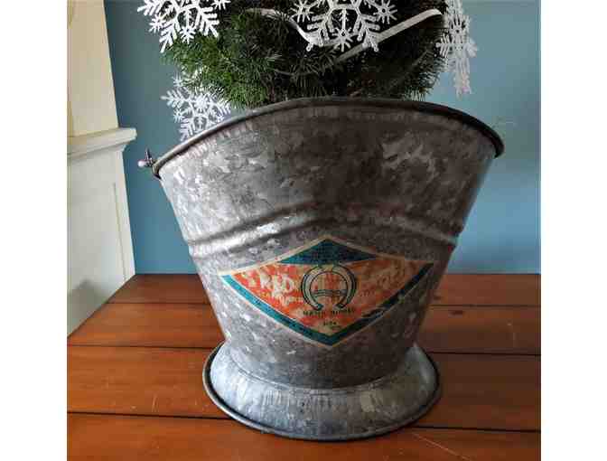 Decorated Dwarf Alberta Spruce tree in Vintage Coal/Ash pail from St. John New Brunswick