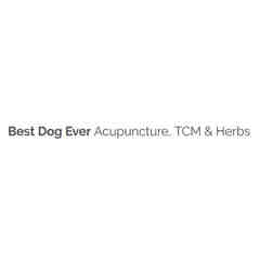Best Dog Ever Acupuncture