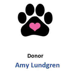 Amy Lundgren