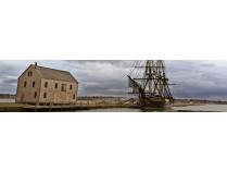 Photography - "Untitled" by Thao Nguyen