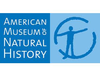 Night at the American Museum of Natural History- New York,NY for (4)