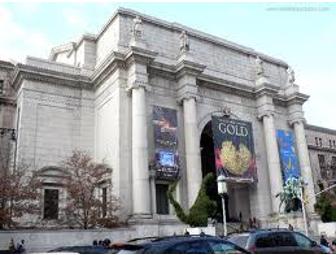 Night at the American Museum of Natural History- New York,NY for (4)