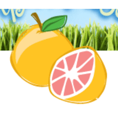 Pamplemousse