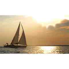 Lloyd Wilson-Independence