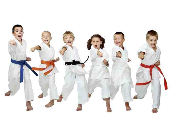 1 Kick Up Martial Arts CONCORD - 1 month membership $110