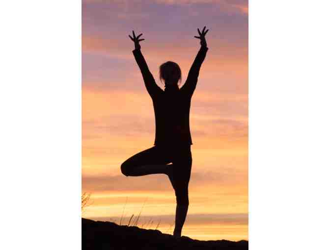 Yoga at Newbury Park Martial Arts Center - Two Week Yoga Program