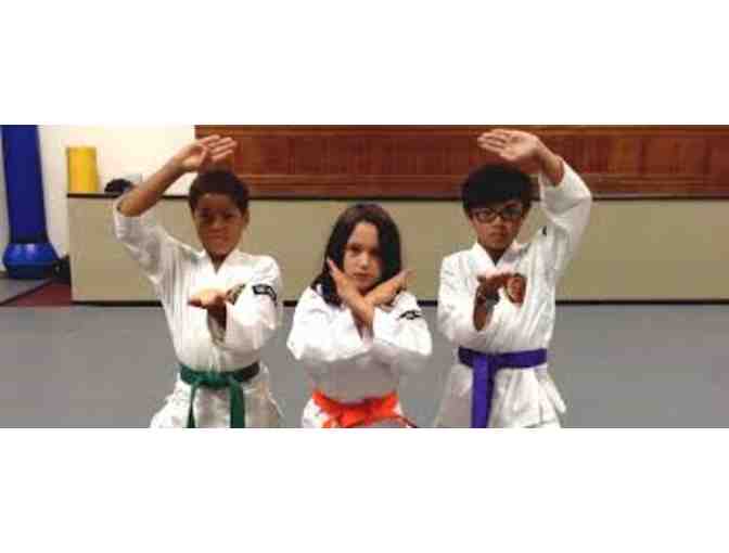 One Month of Tae Kwan Do at Baker's Martial Arts for Kids 5 - 6 Years Old