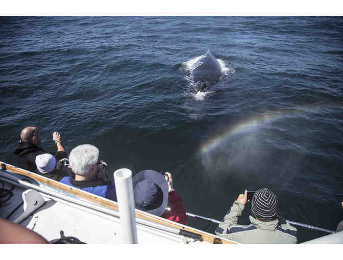 Whale Watching on the Monterey Bay for Two