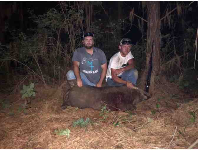 Guided Pig Hunt for 2 - Photo 1