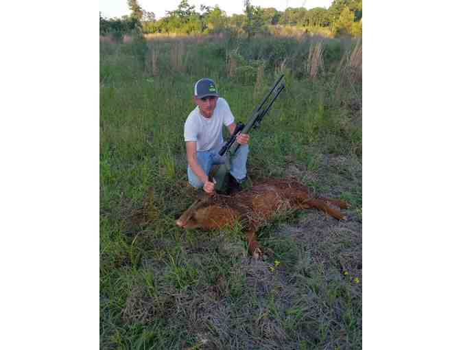 Guided Pig Hunt for 2
