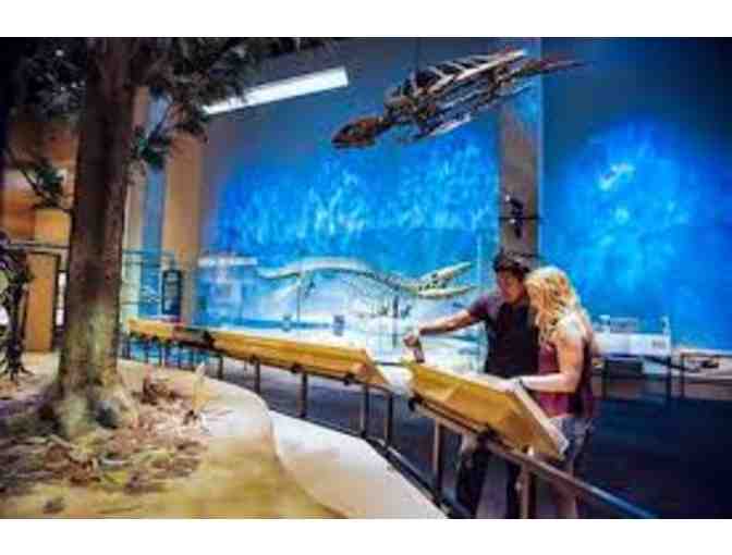 Perot Museum Membership for 5