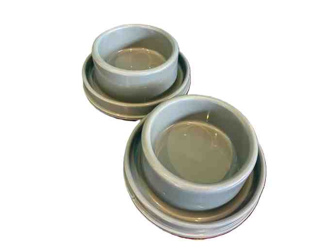 Petlike Ants Away Pet Food Bowls - Photo 1