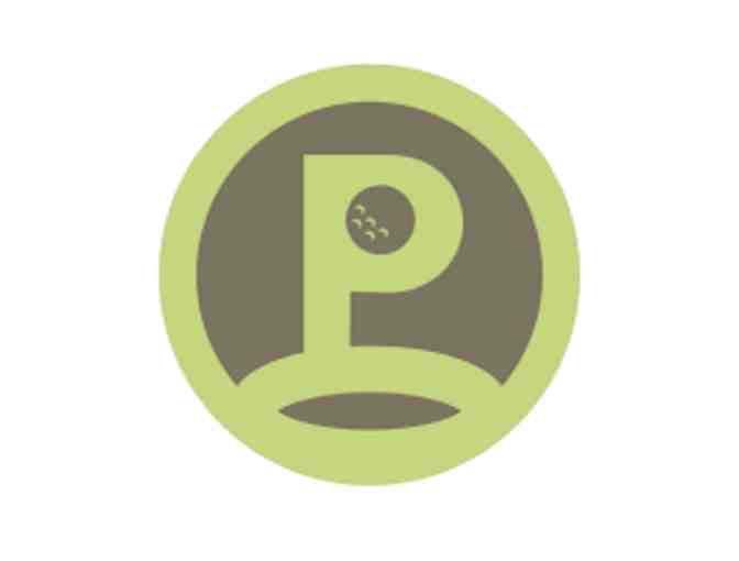 Perform for Golf: Golf performance Analysis - Photo 1