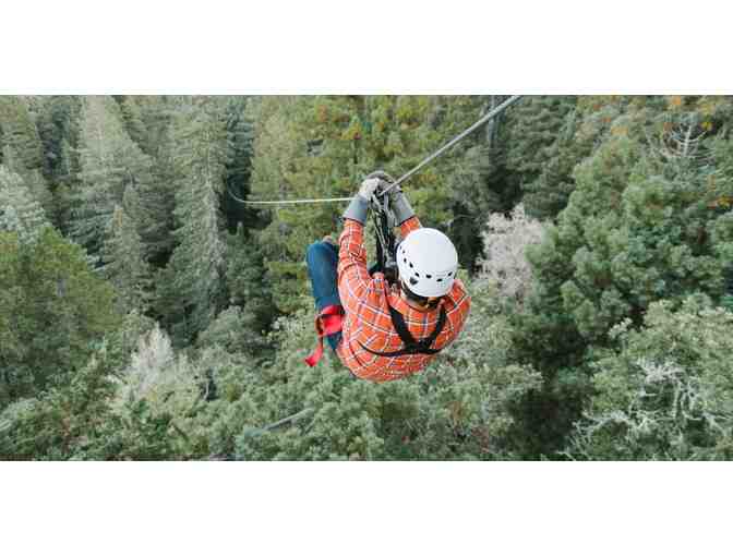 Ziplining in the Redwoods
