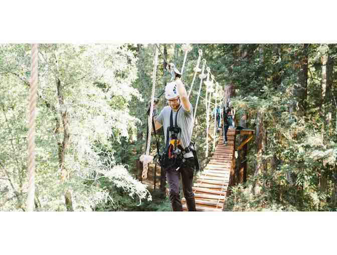 Ziplining in the Redwoods