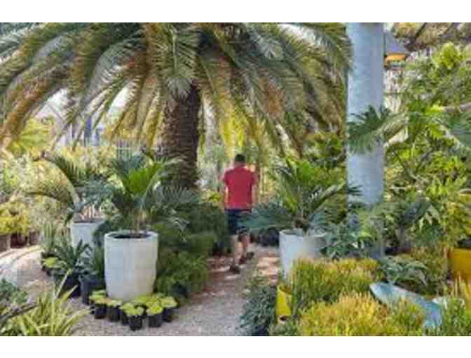 $100 Gift Certificate for Flora Grubb Gardens