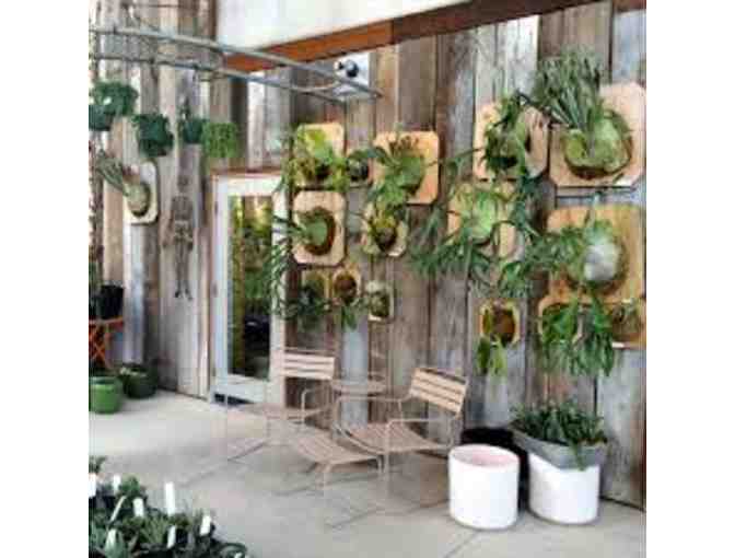 $100 Gift Certificate for Flora Grubb Gardens