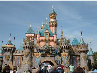 Visit Disneyland!