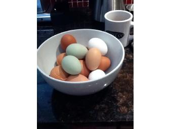 Pastured Eggs, Fresh from Toluma Farms
