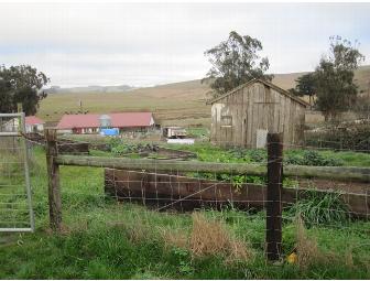 Weekend in Tomales and Toluma Farms
