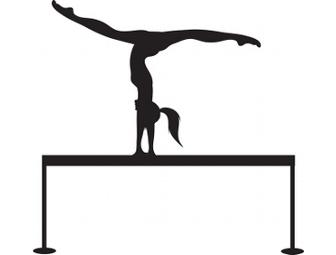 Gymtowne Gymnastics Classes