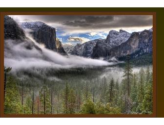 The Redwoods in Yosemite