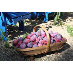 Kathryn, Dave & Zoe Clark