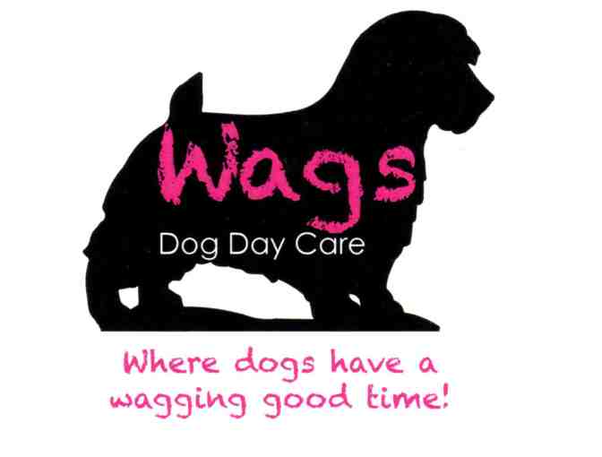 Wags of Santa Fe $70 Gift Certificate - Photo 1