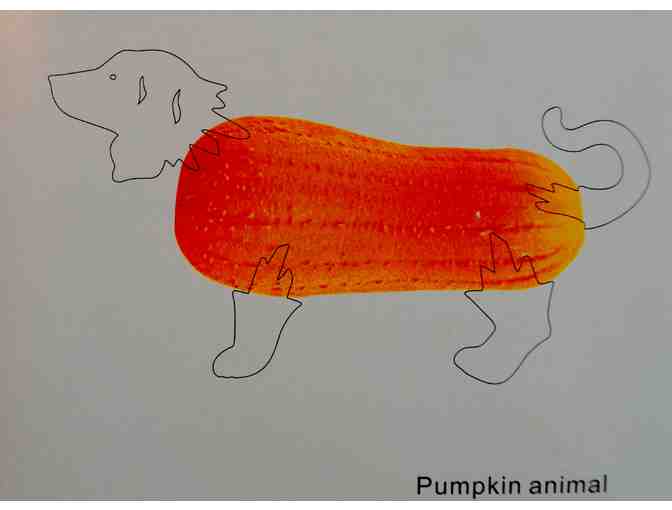 Lot of Two Pumpkin Animals- One Cat, One Dog